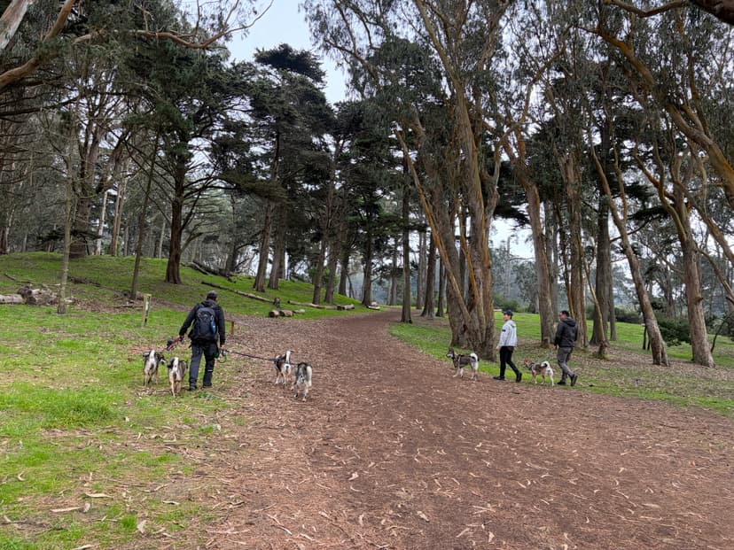 Shikoku Ken Club members and dogs